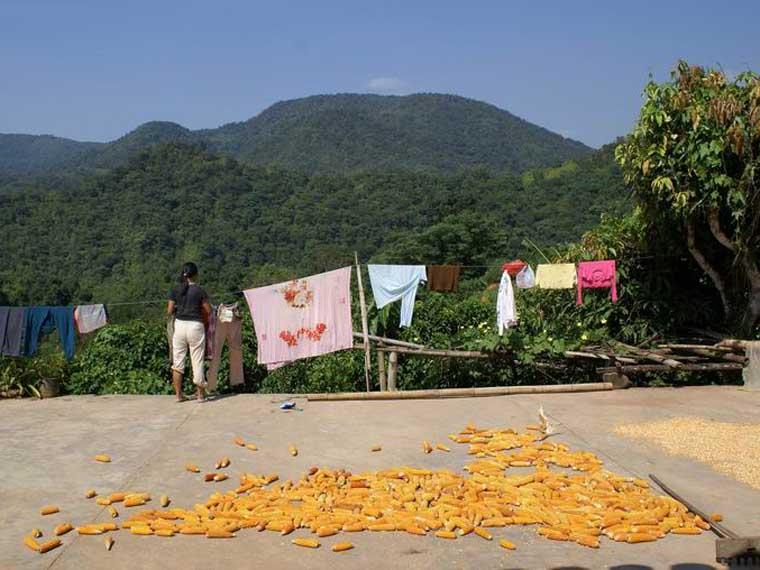 支龍村