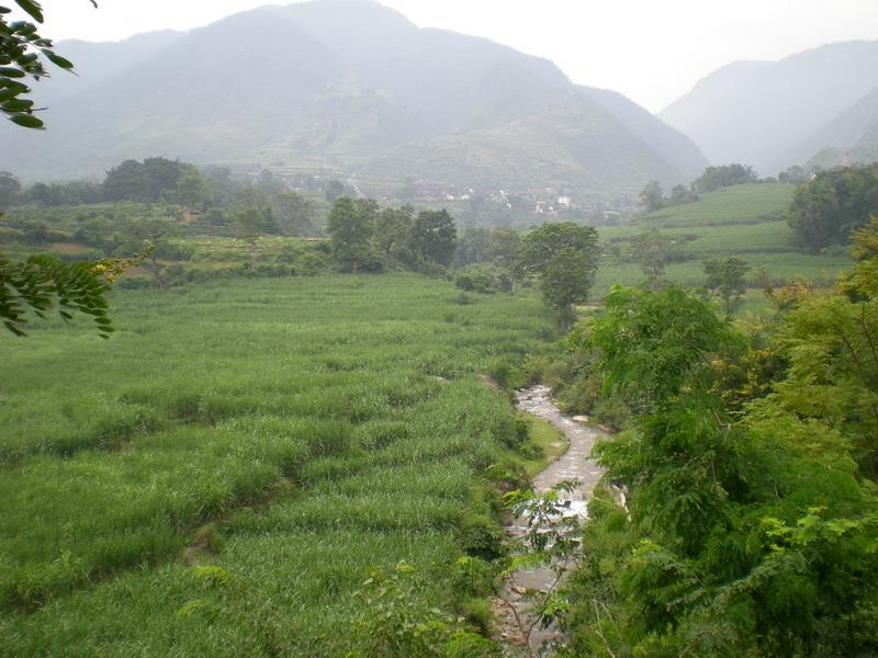 帕連自然村耕地