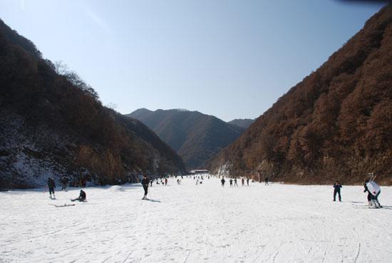 三門峽甘山森林滑雪場