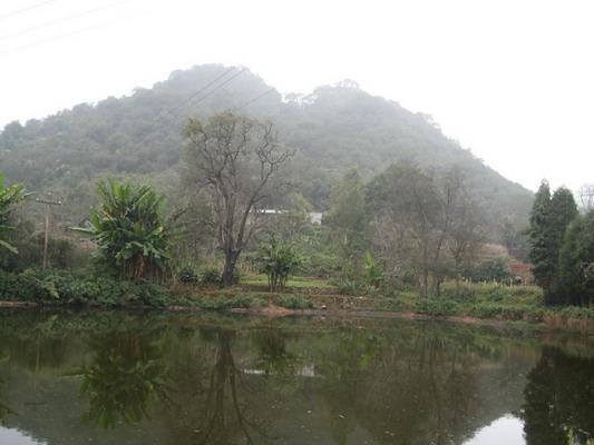 雨龍自然村