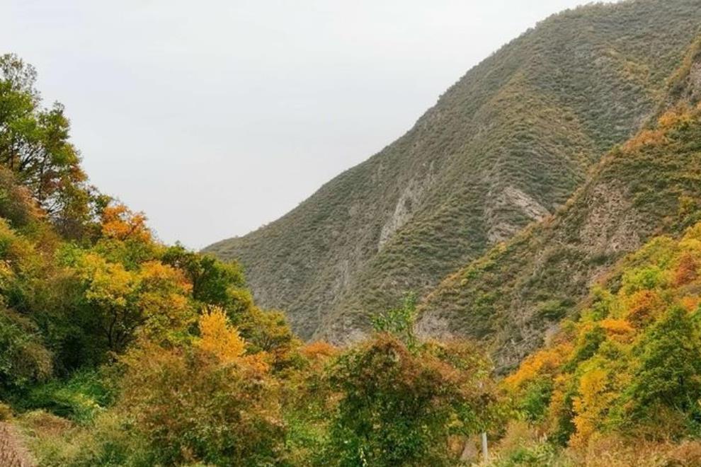 甘肅石佛溝國家森林公園(石佛溝)