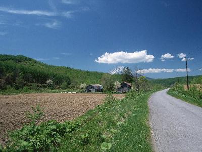 鄉村道路