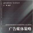 新經濟時代廣告學叢書：廣告媒體策略