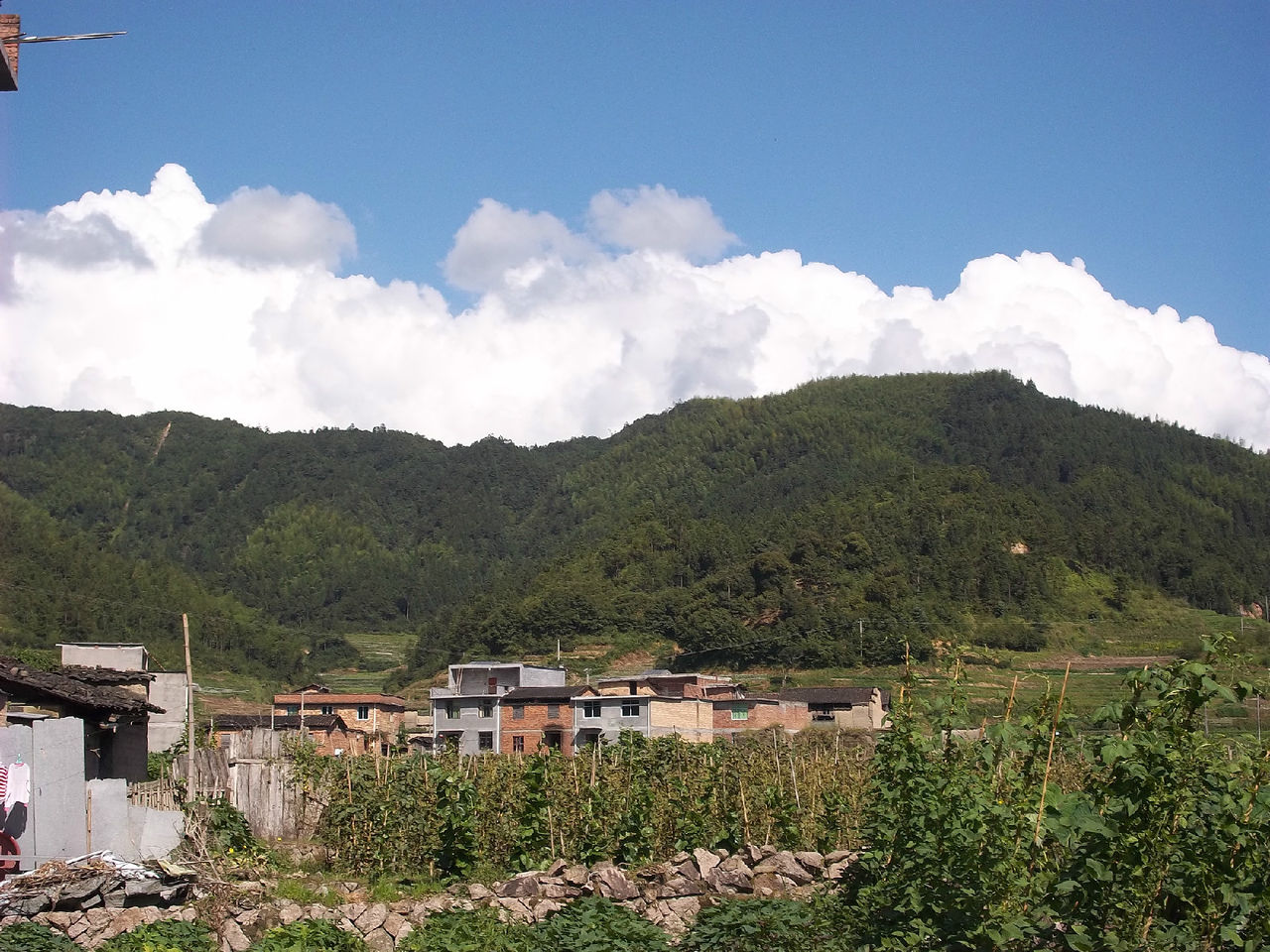 藍天白雲下的前鳳林村（路下轄村委會）