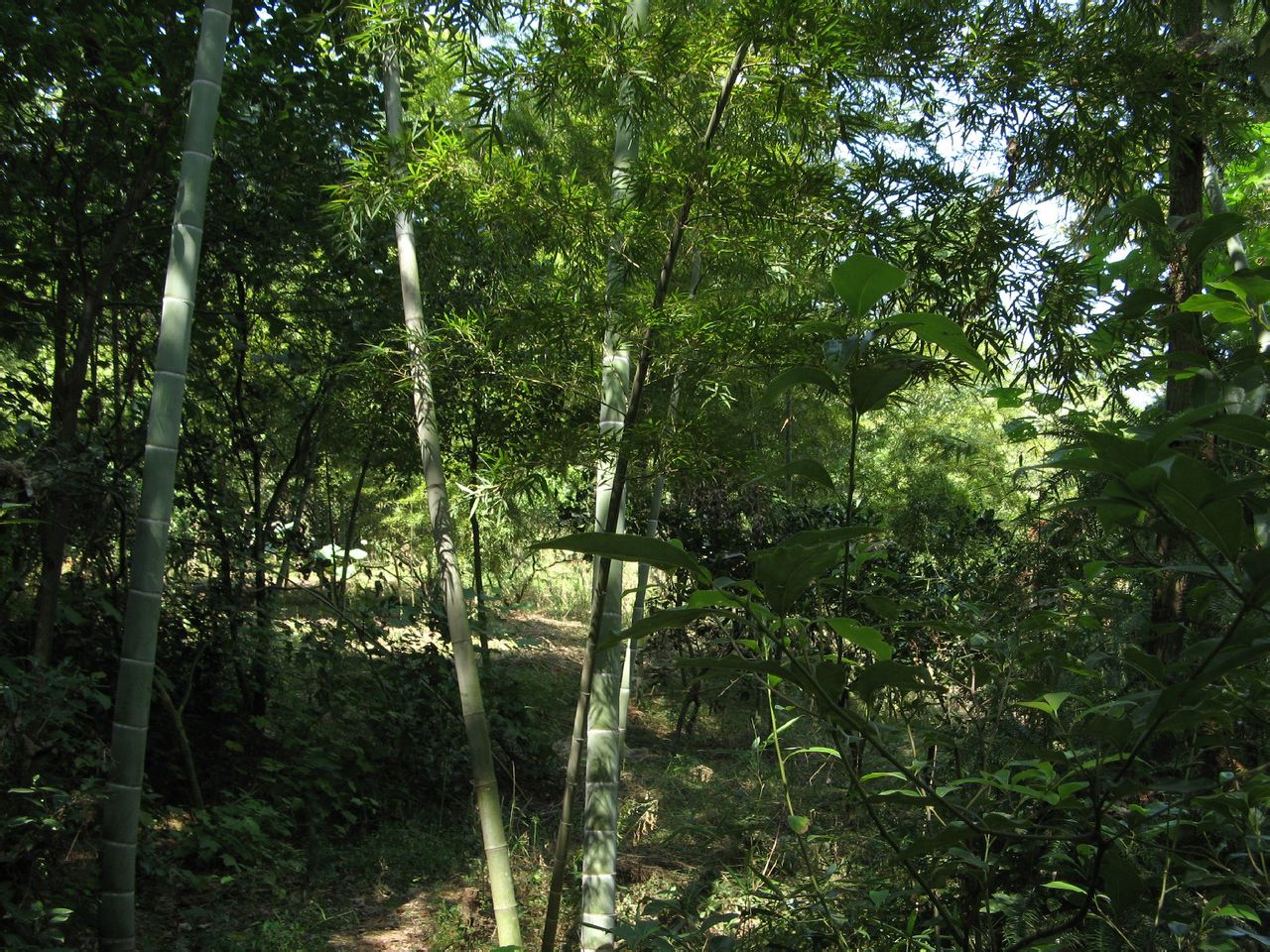 雙塘塢風景