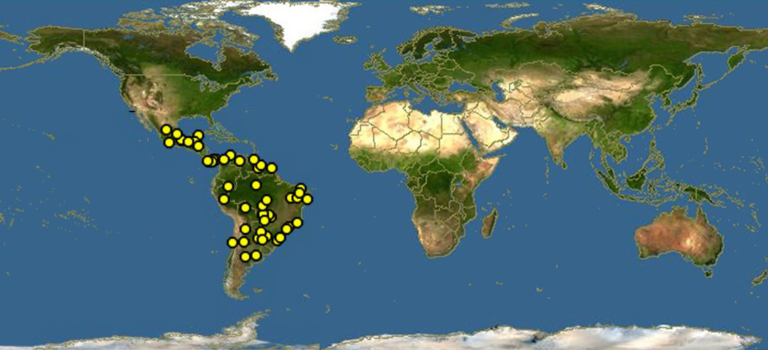 小黃頭美洲鷲分布圖