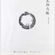 太陽與鐵(1968年上海譯文出版社出版的圖書)