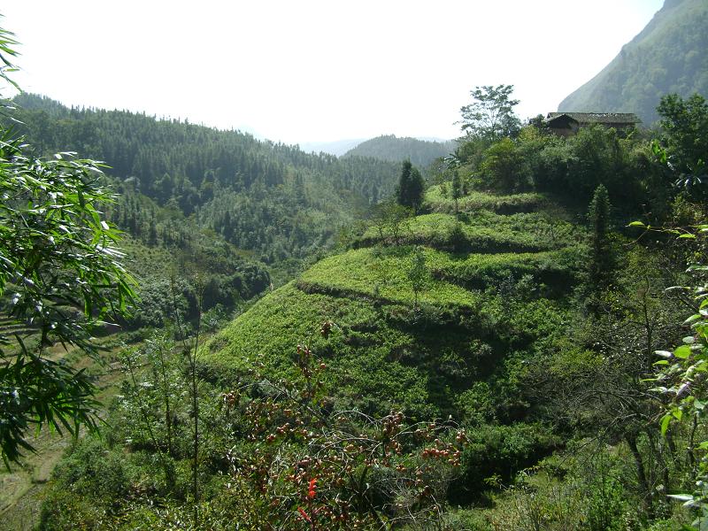 六灣大寨村