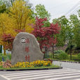 雙塔村(山西太原市迎澤區郝莊鎮雙塔村)