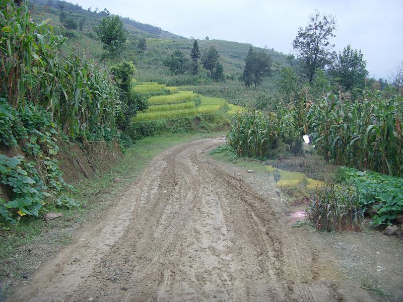 雲南省大關縣翠華鎮永康村村內道路