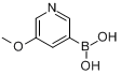 5-甲氧基吡啶-3-硼酸
