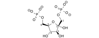果糖-1,6-雙磷酸