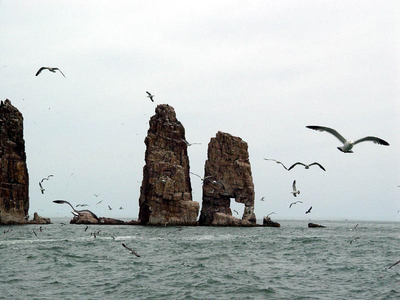 廟島群島