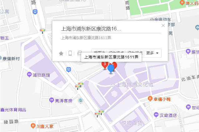 康沈路1611弄9號