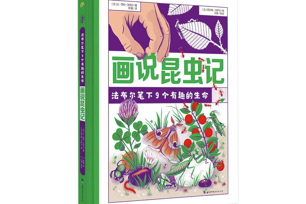 畫說昆蟲記：法布爾筆下9個有趣的生命