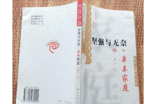 單親家庭(2002年河北人民出版社出版的圖書)