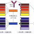 抗體的多樣性