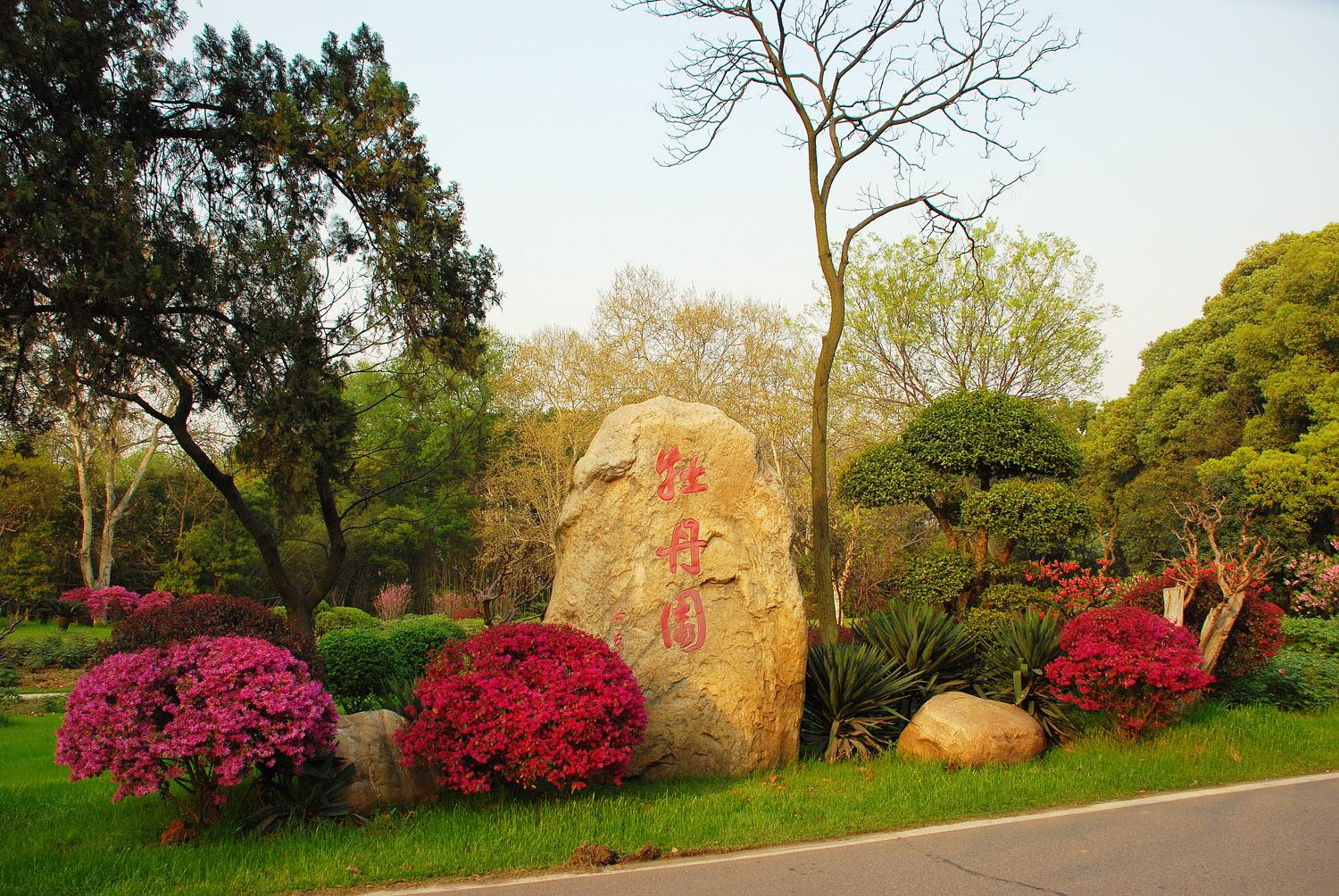 牡丹園(山東省菏澤市公園)