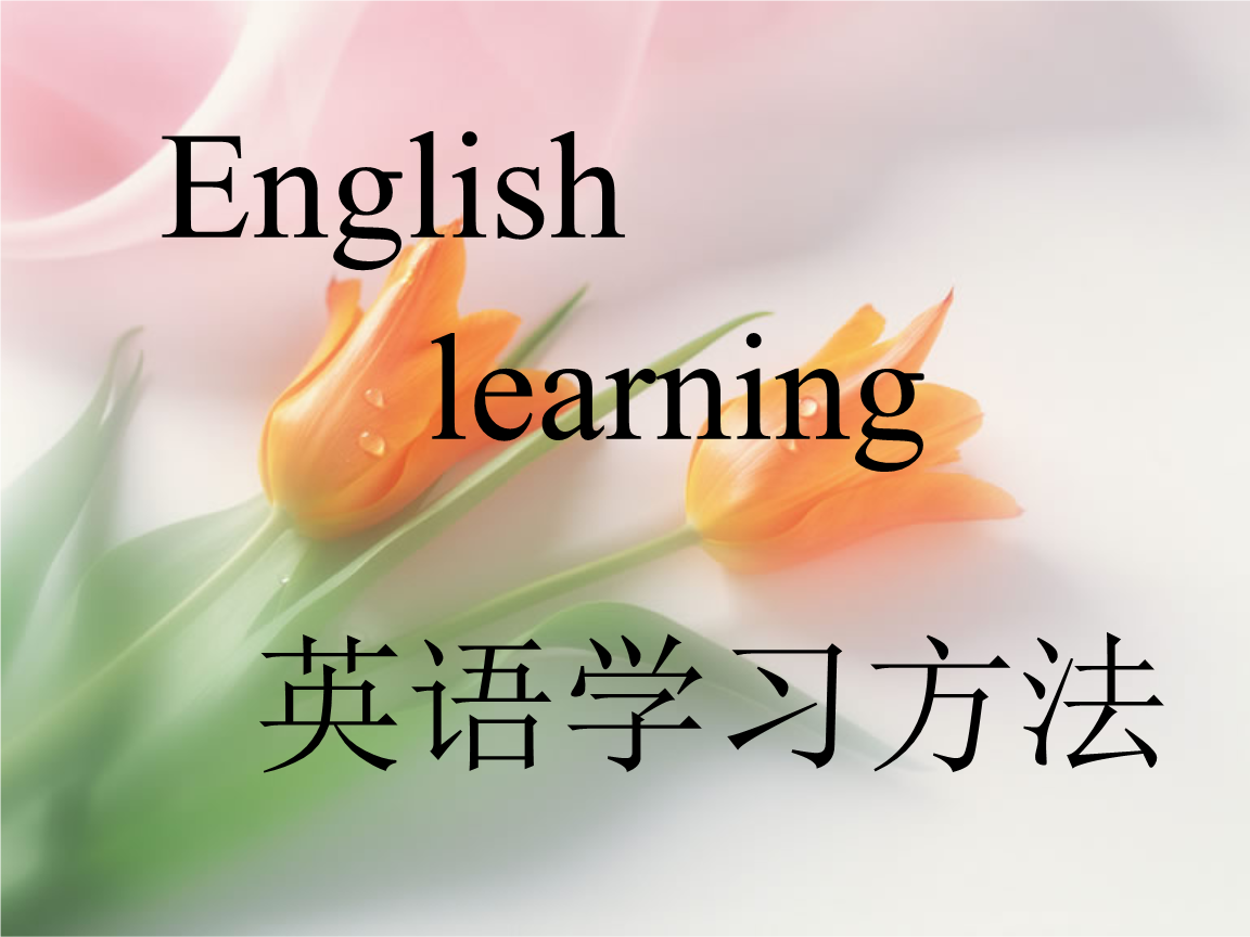 高中英語學習方法