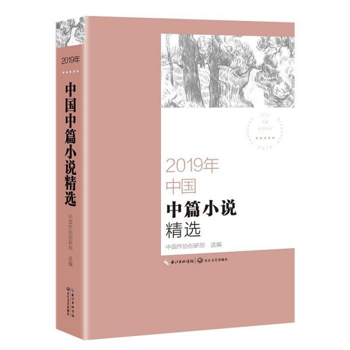 2019年中國中篇小說精選