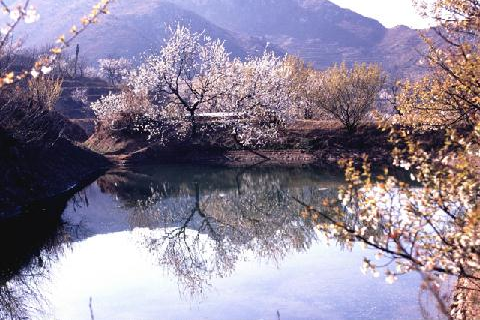 九上溝生態園