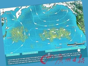 太平洋中垃圾帶形成的洋流示意圖