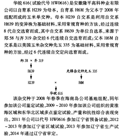 華皖616