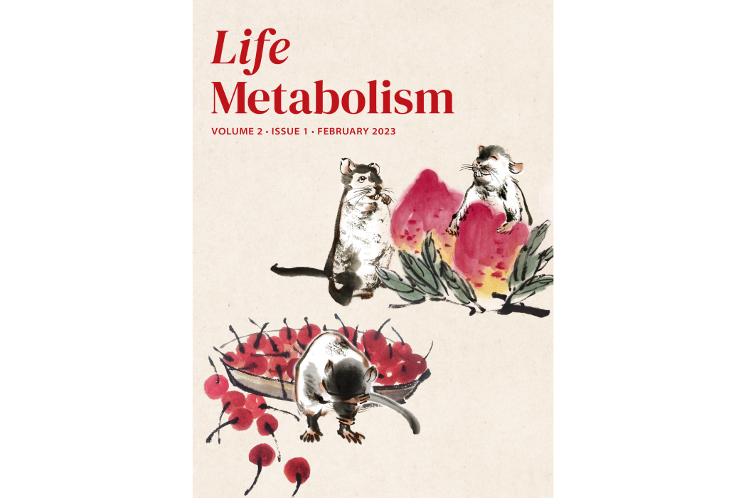 Life Metabolism