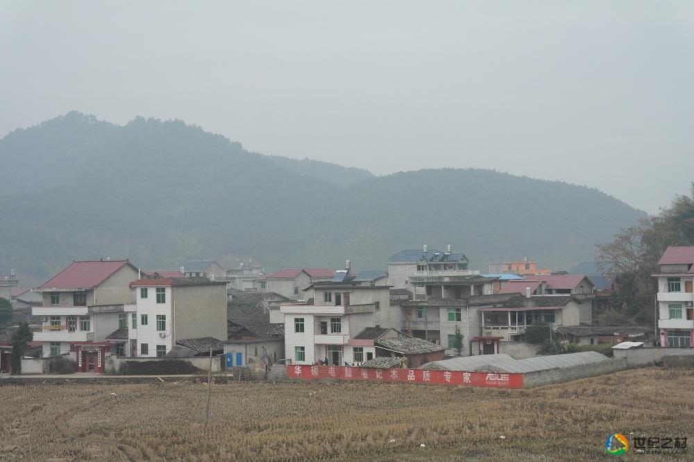 官田村(浙江省衢州市江山市鳳林鎮下轄村)