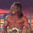 Ultimate Warrior