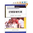 21世紀高職高專規劃教材·市場行銷系列·行銷策劃實訓(行銷策劃實訓)