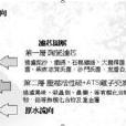 德國曼酥勒淨水器