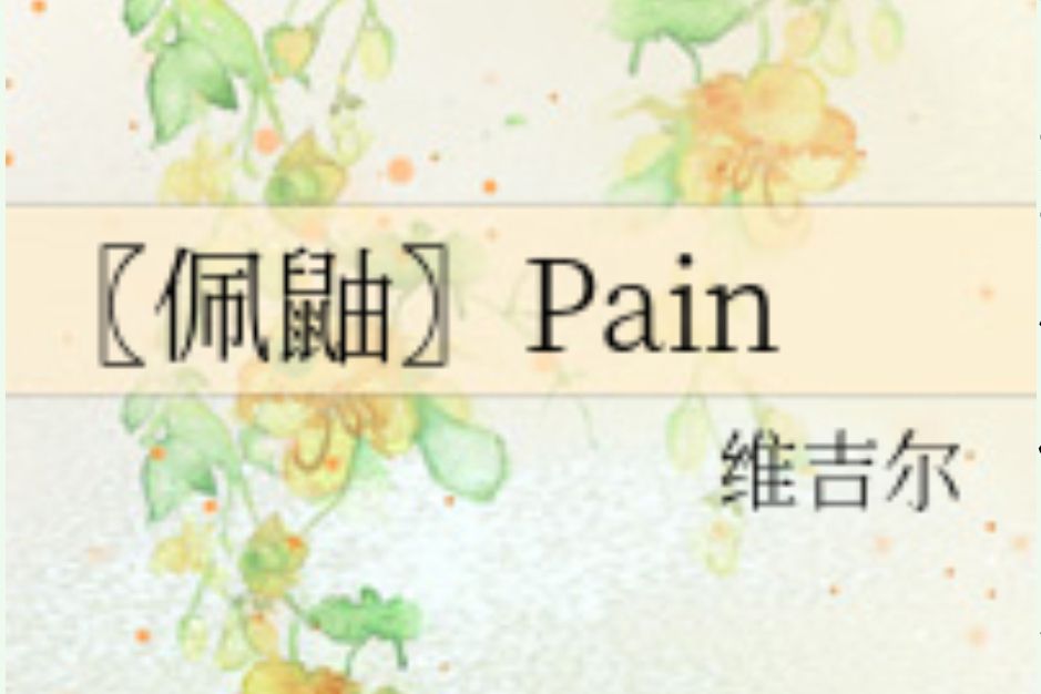 〖佩鼬〗Pain