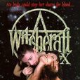 Witchcraft X: Mistress of the Craft