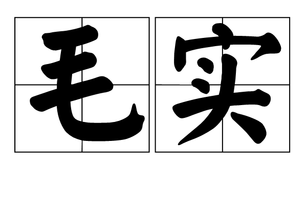 毛實(詞語解釋)