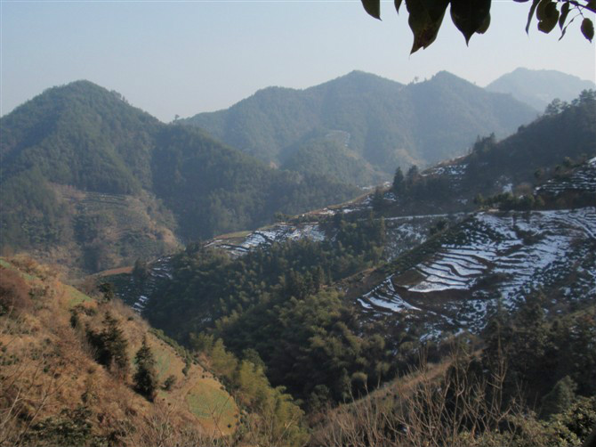 高山槐棠村