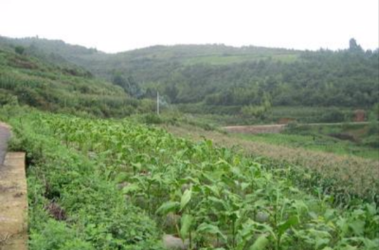 松子山村(雲南宜良縣湯池鎮下轄村)