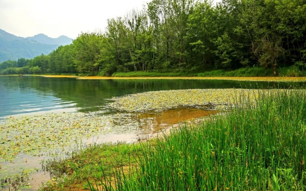 四川構溪河國家濕地公園