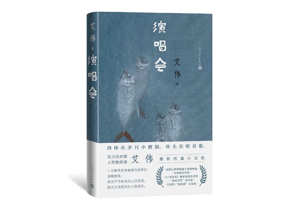 演唱會(艾偉著短篇小說)