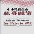 中小民營企業私募融資