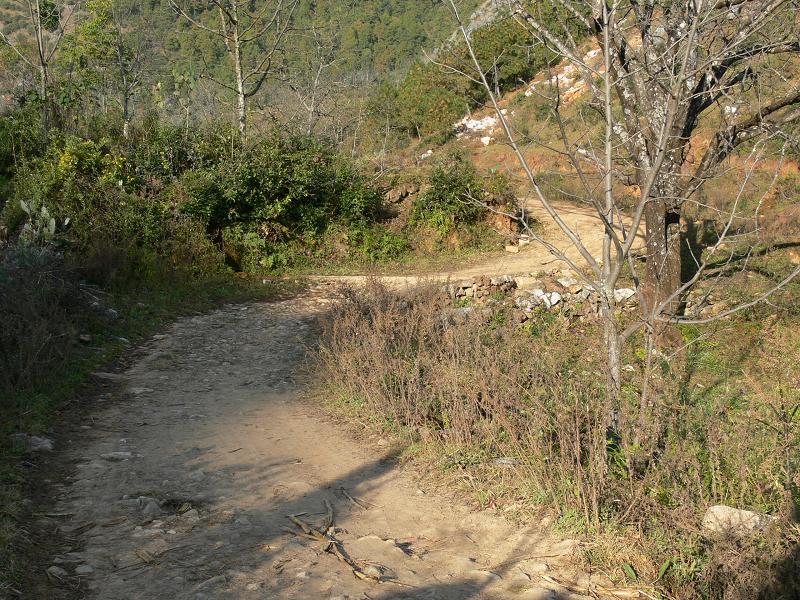 進村道路