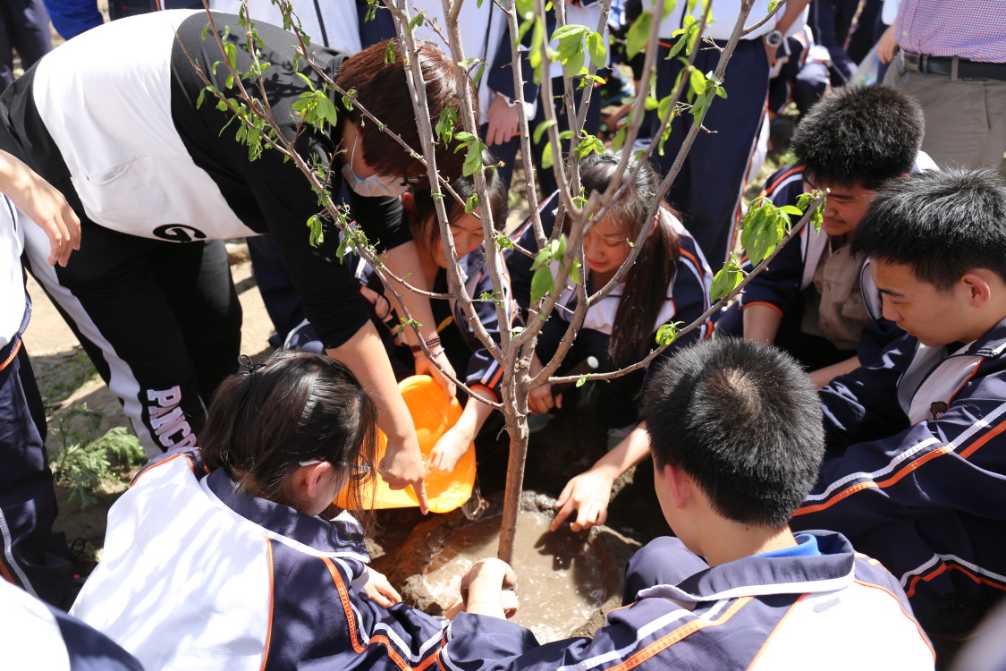 舉辦校園植樹活動