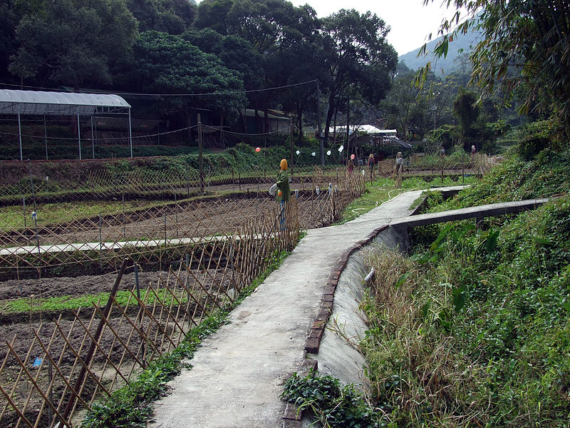 綠田園