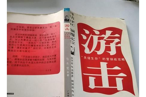 游擊(2007年廣東旅遊出版社出版的圖書)