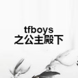 tfboys之公主殿下