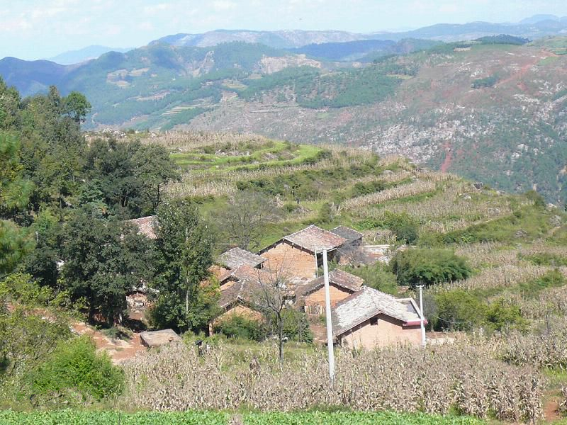 岩口村(廣東省清遠市陽山縣七拱鎮下轄村)