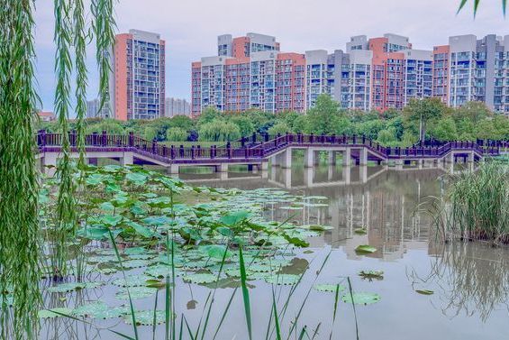 荊襄外河濕地公園