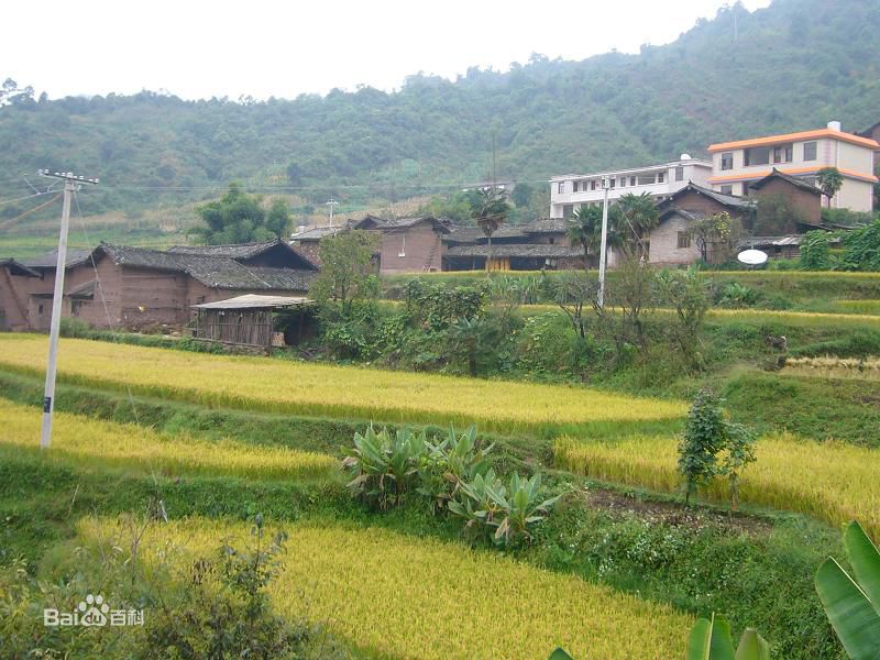 七峰村(雲南省楚雄祿豐縣中村鄉七峰村)