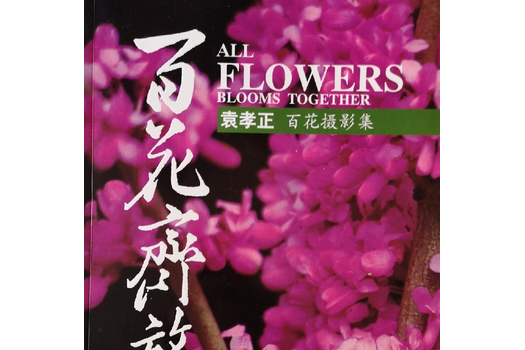 百花齊放(2008年四川美術出版社出版的圖書)