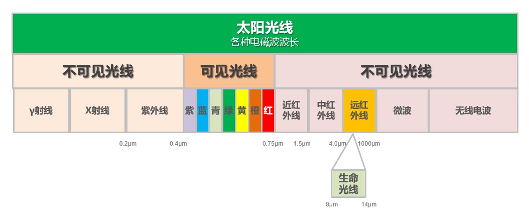 遠紅外加熱電飯煲